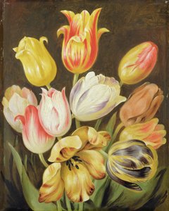 Étude de fleurs